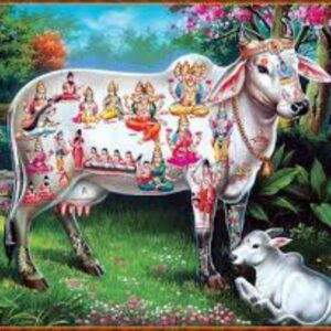 Read more about the article Gau Mata Ki Aarti – Om jai jai Gaumata | आरती गौ माता की