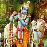 Read more about the article Gopashtami Vrat Katha | गोपाष्टमी व्रत कथा