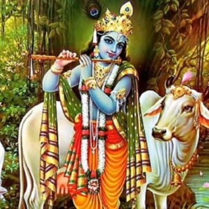 Read more about the article Gopashtami Vrat Katha | गोपाष्टमी व्रत कथा