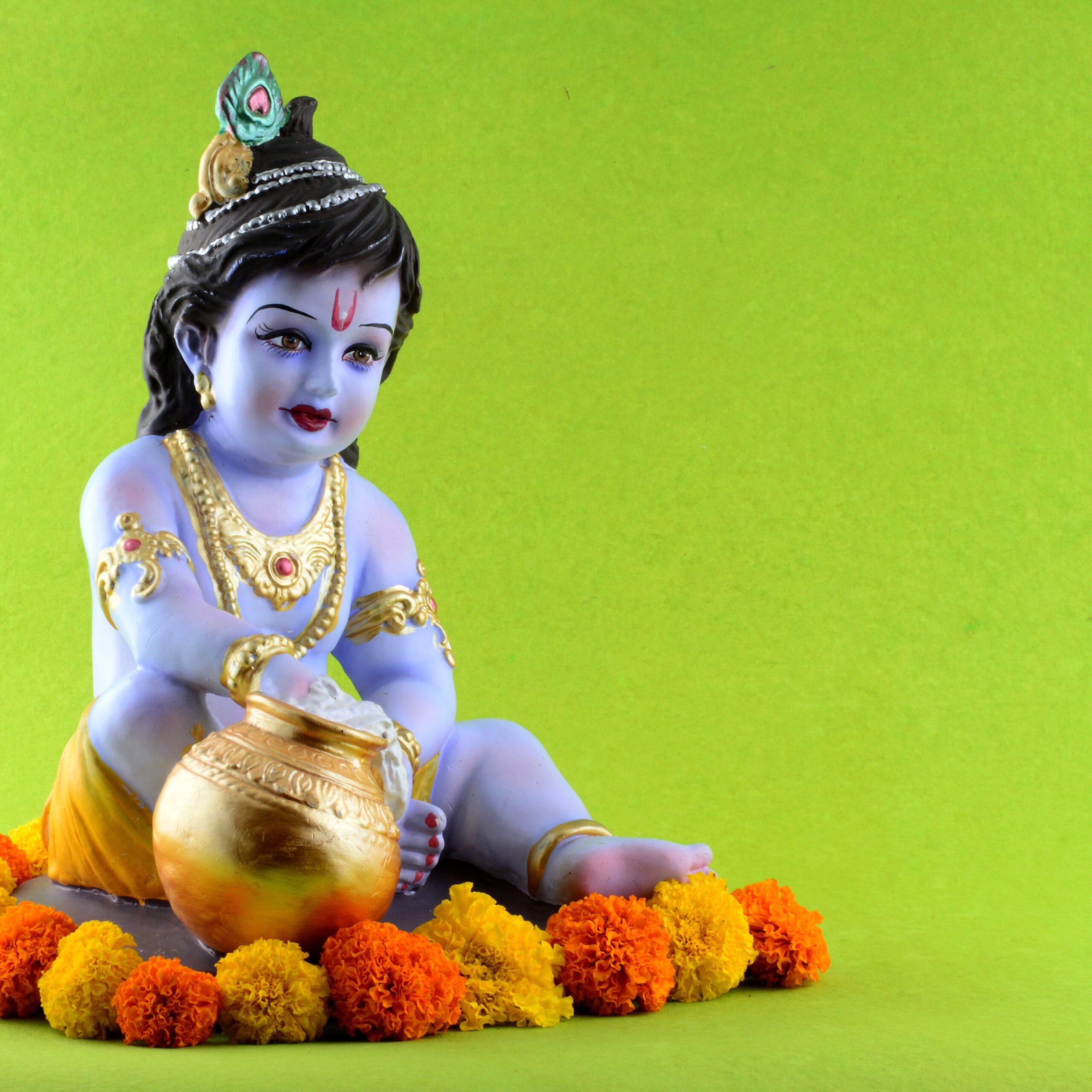 You are currently viewing Janmashtami Pujan Vidhi | कृष्ण जन्माष्टमी पूजा विधि