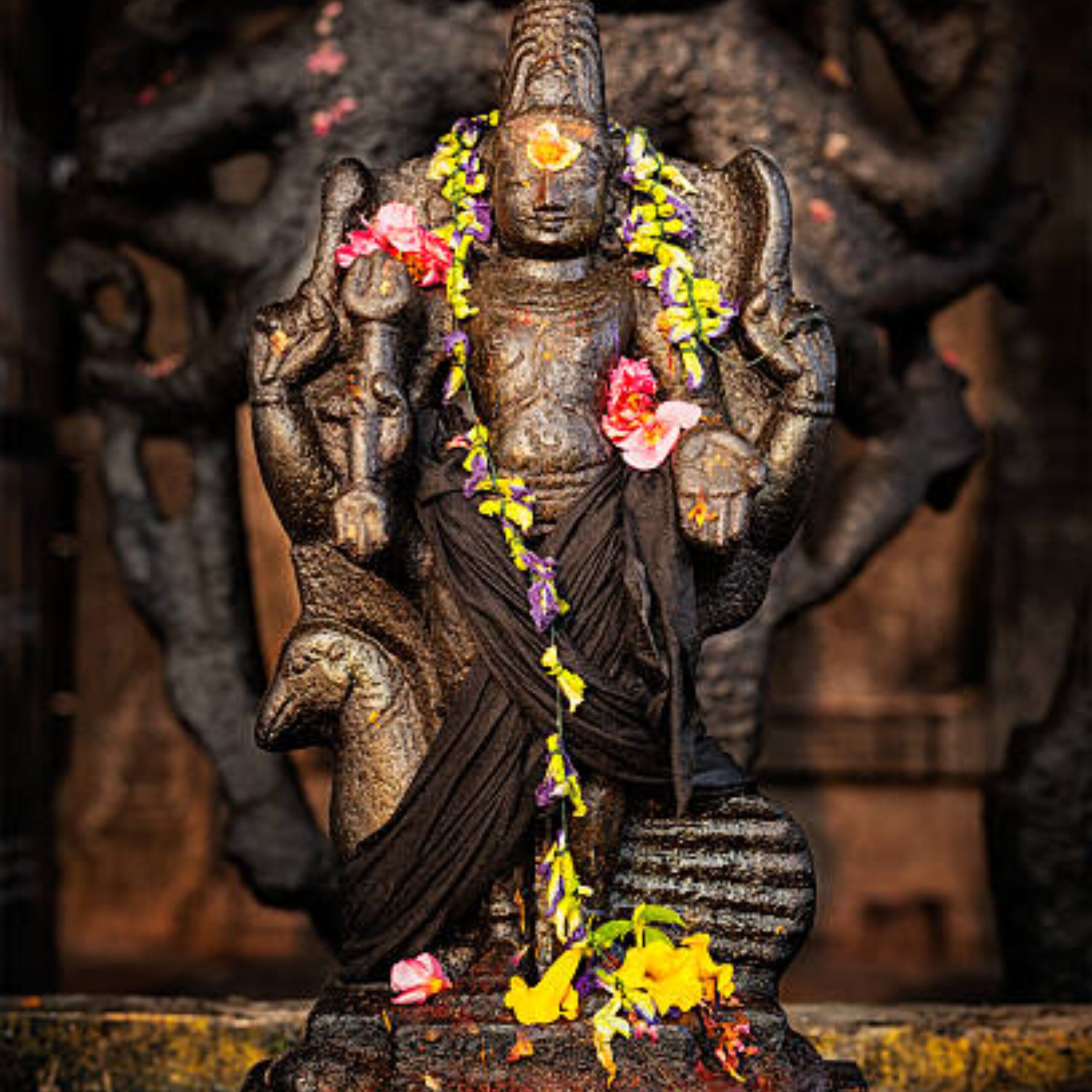 You are currently viewing Kartikeya Ji Ki Aarti – Jai Jai Aarti Venu Gopala | कार्तिकेय जी की आरती